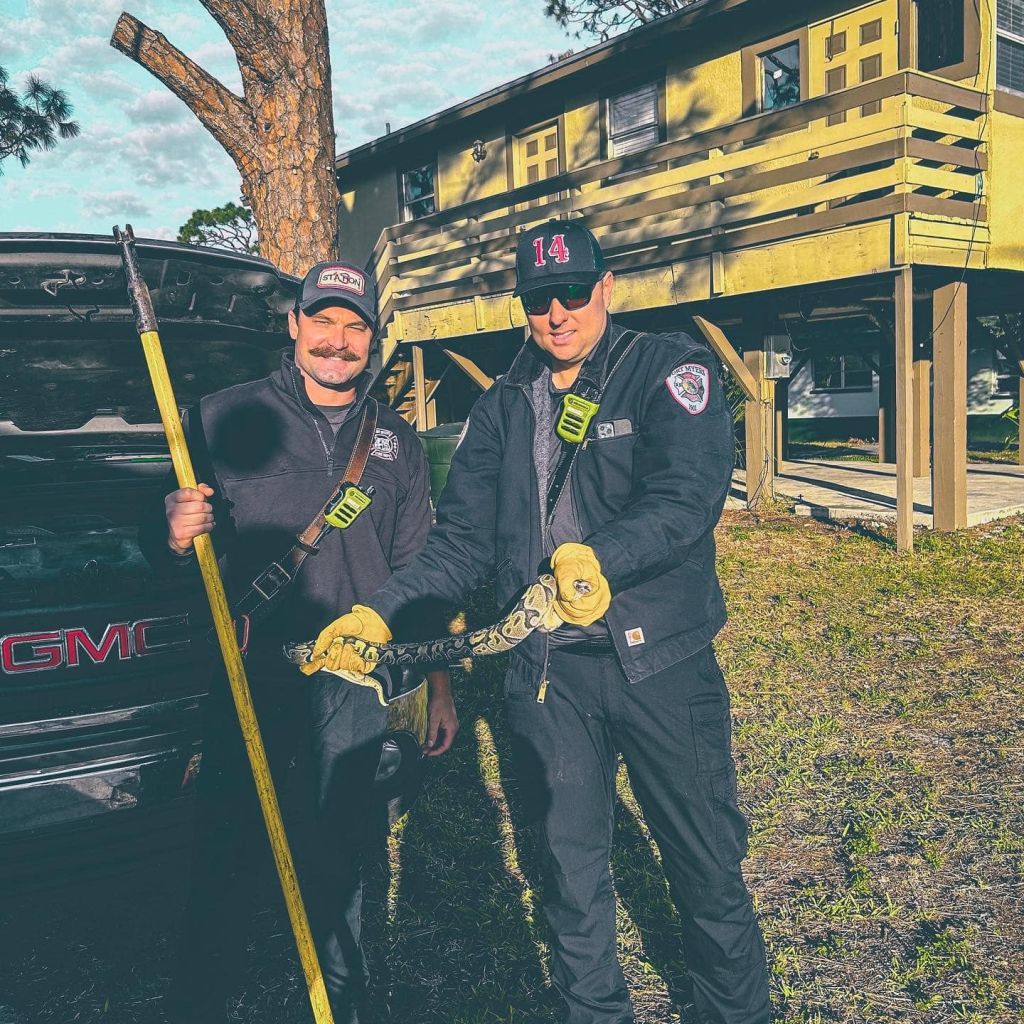 Firefighters remove snake from truck