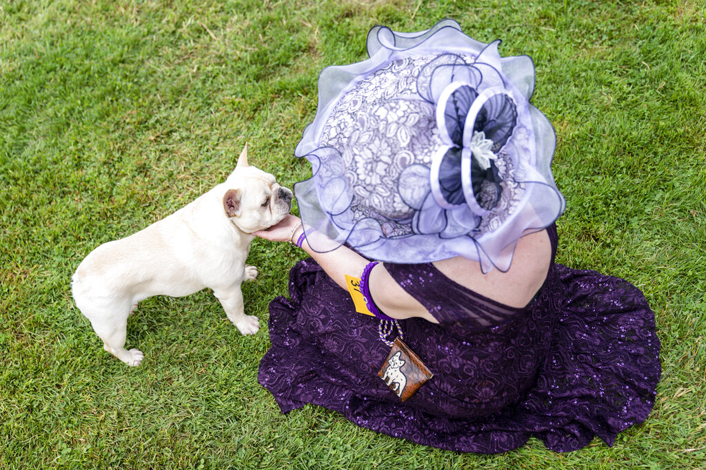 2021 Westminster Dog Show