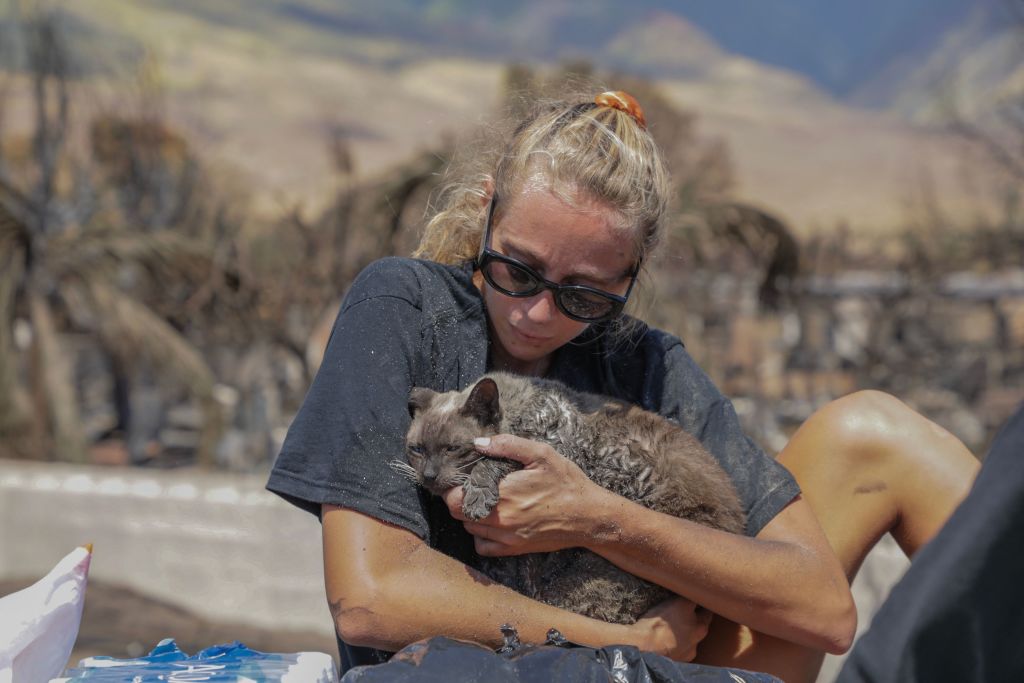 Hawaii fire: