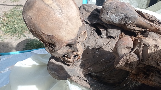 Mummy found