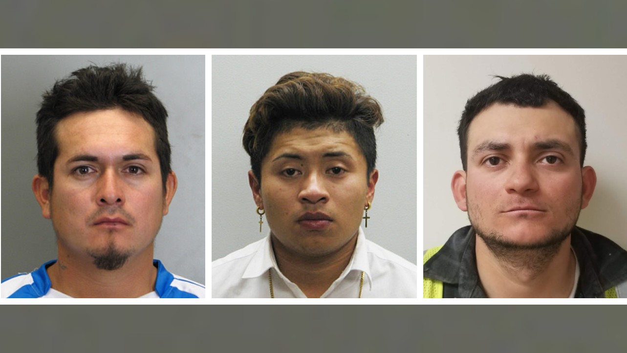 MS-13 murder: