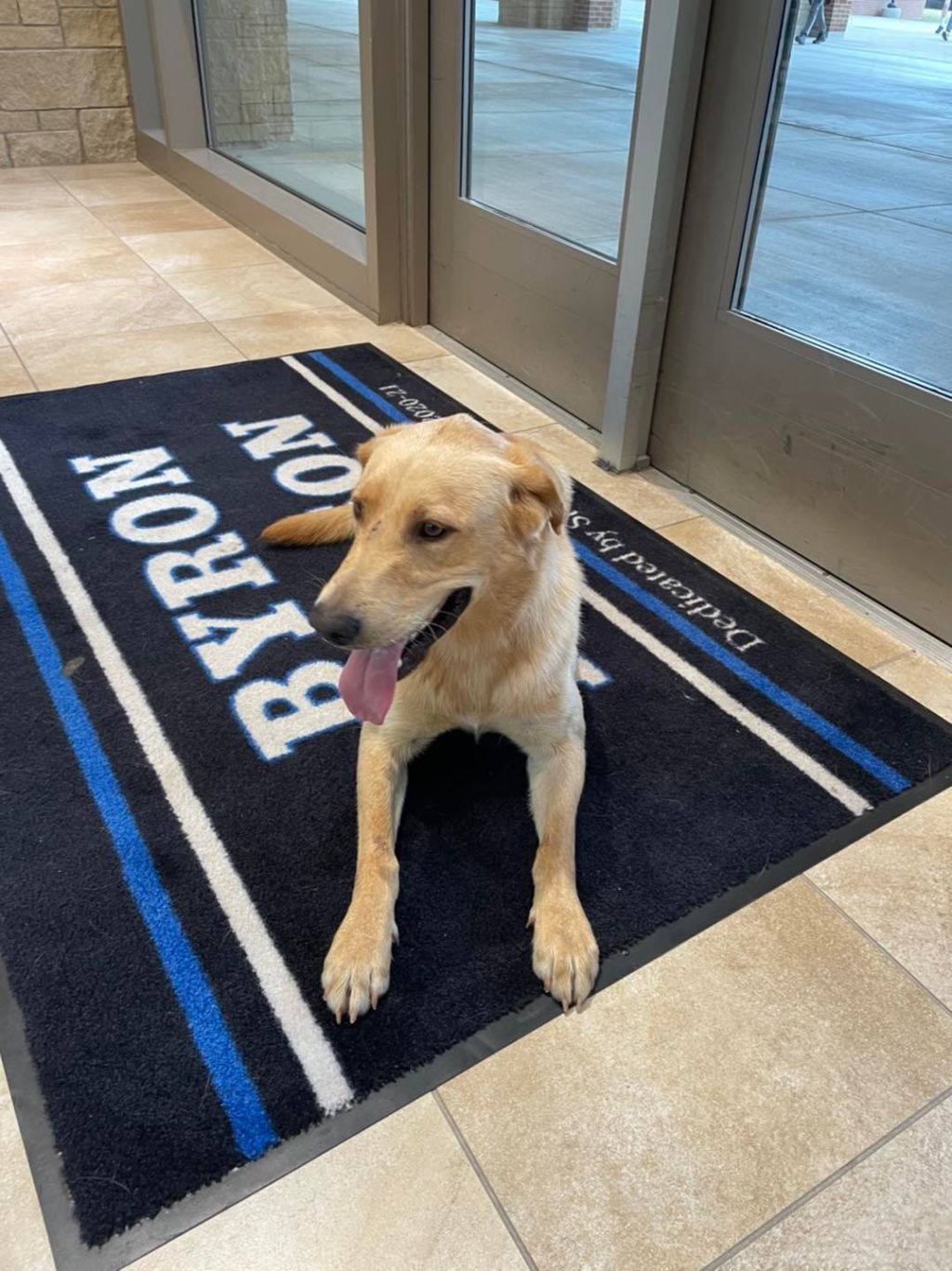 Police in Texas search for owners of dog that snuck into school