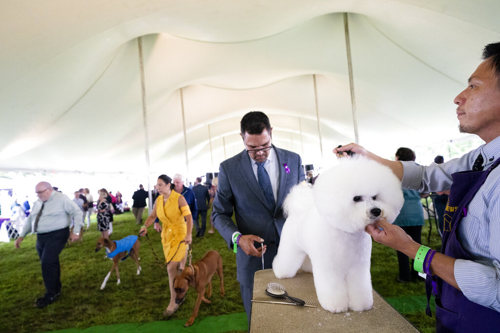 2021 Westminster Dog Show
