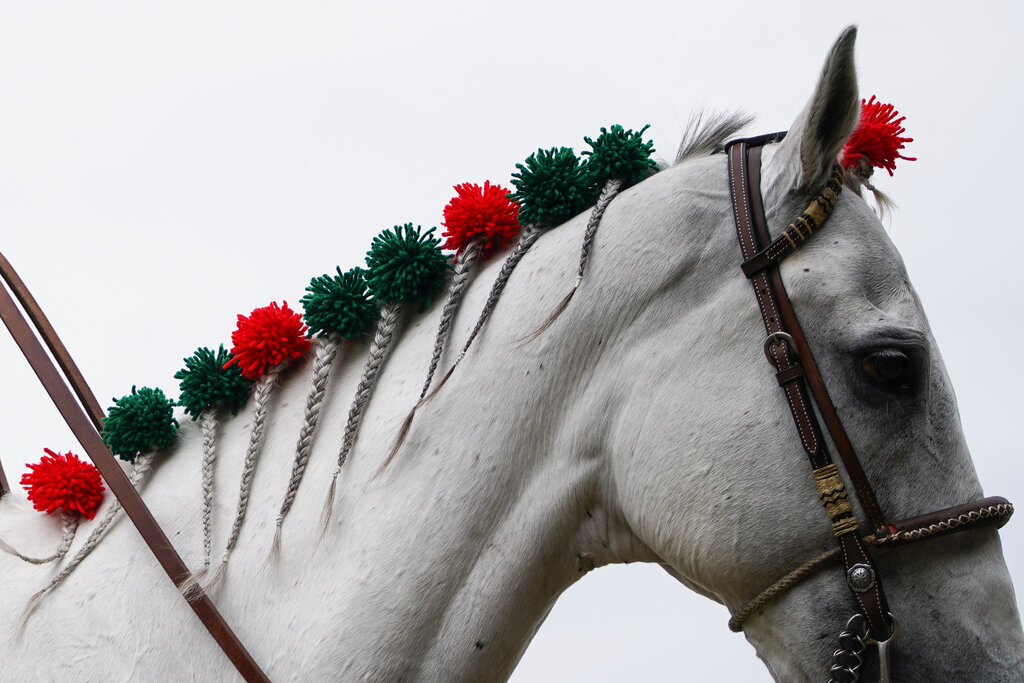 Belmont Stakes 2022