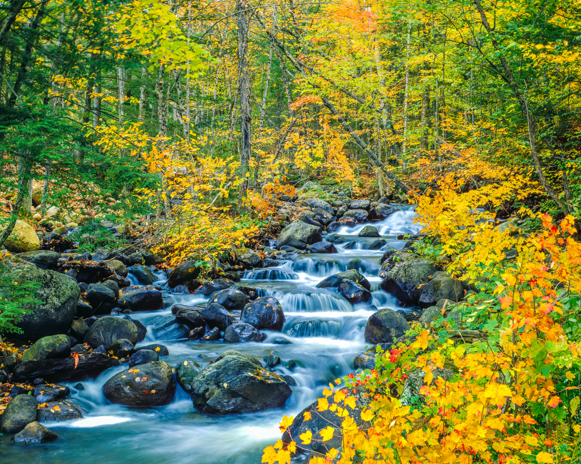 Appalachian Trail