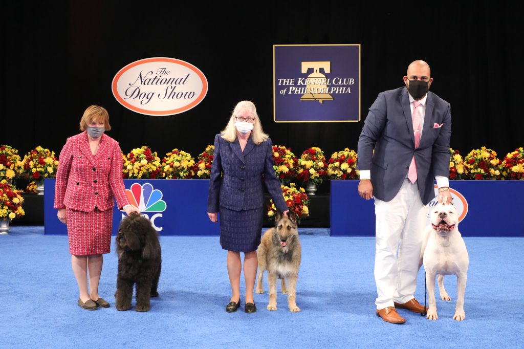 Photos: National Dog Show 2020