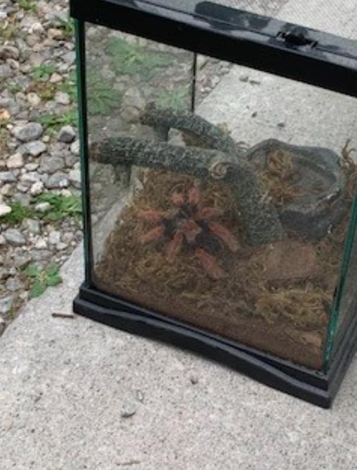 Photos: Dozens of animals and 300 fish rescued in Ohio