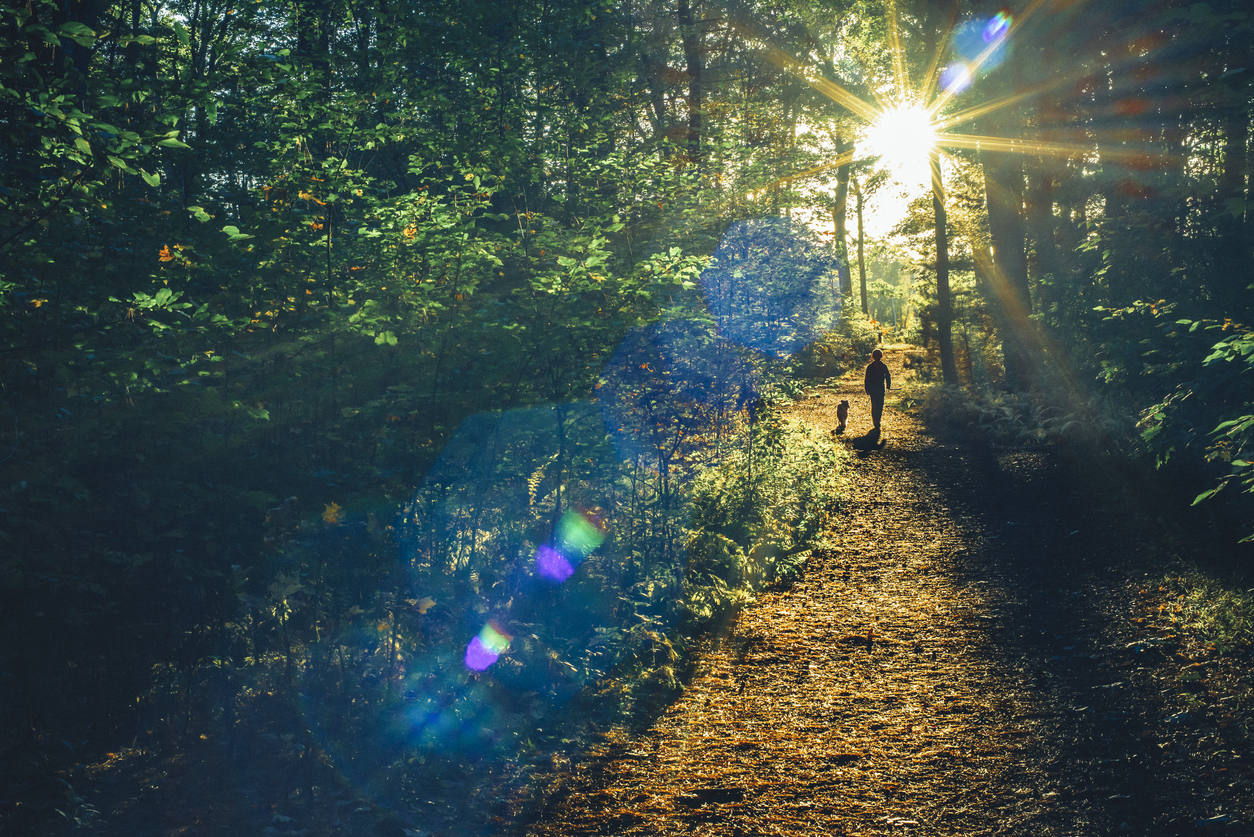 Appalachian Trail