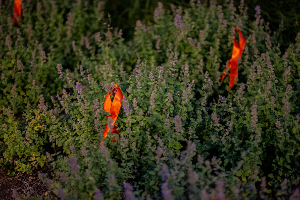 Photos: Highland Park parade shooting victims remembered at vigil
