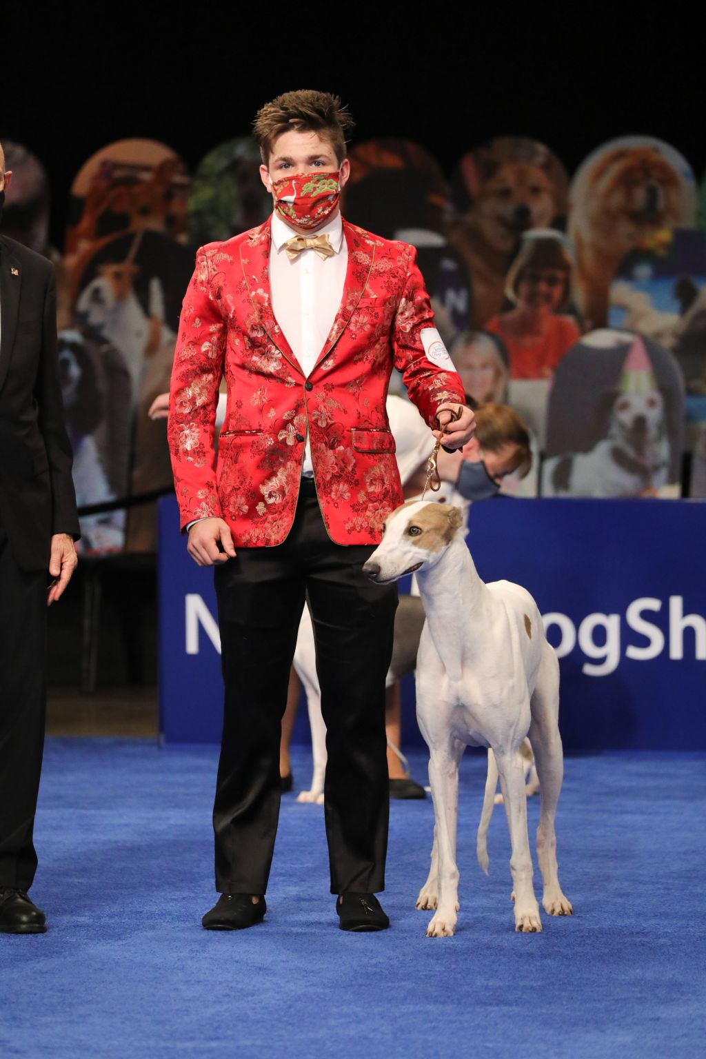 Photos: National Dog Show 2020