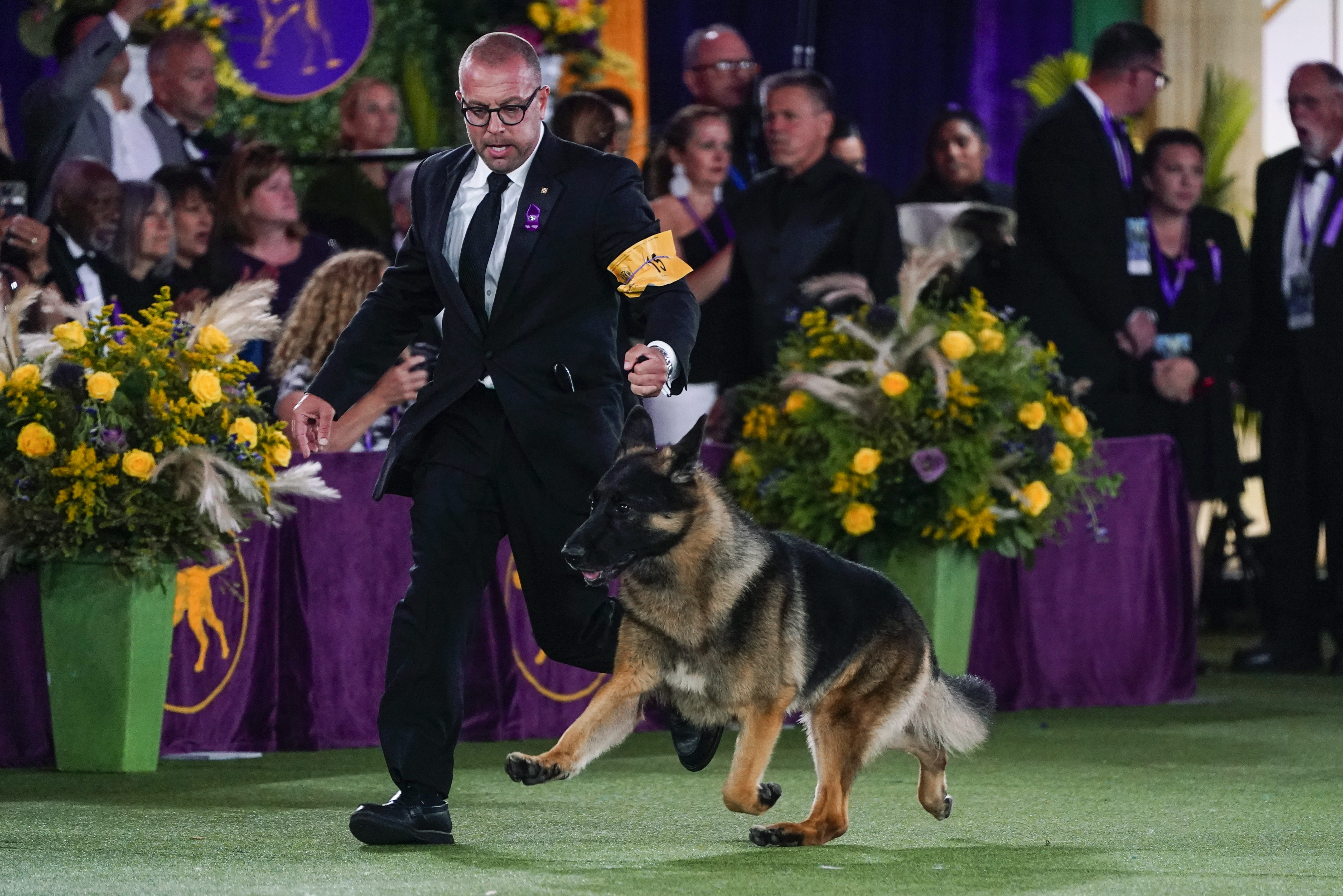 Photos: Westminster Dog Show 2022