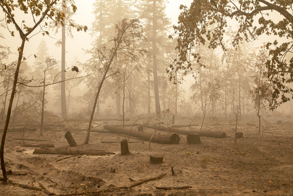 Wildfires