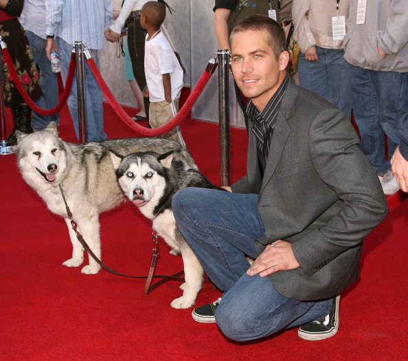 Paul Walker through the years