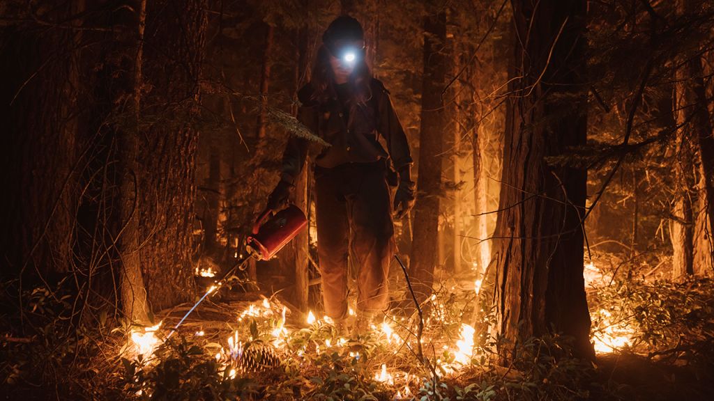 Photos: California's Mosquito Fire becomes state's largest blaze of 2022