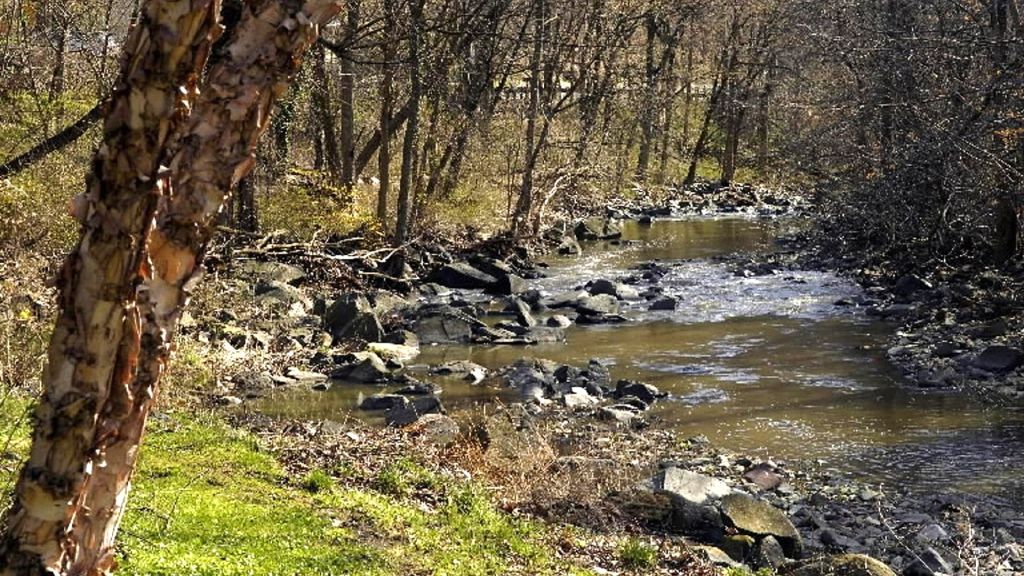 Wrongful conviction: