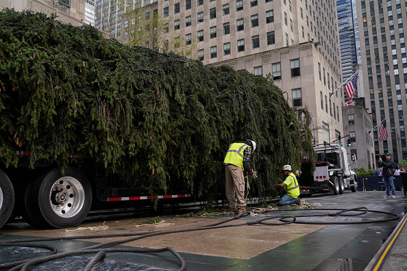 2022 Rockefeller Center Christmas tree arrives