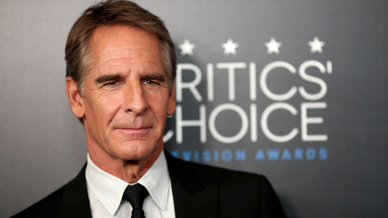 Photos: Scott Bakula through the years
