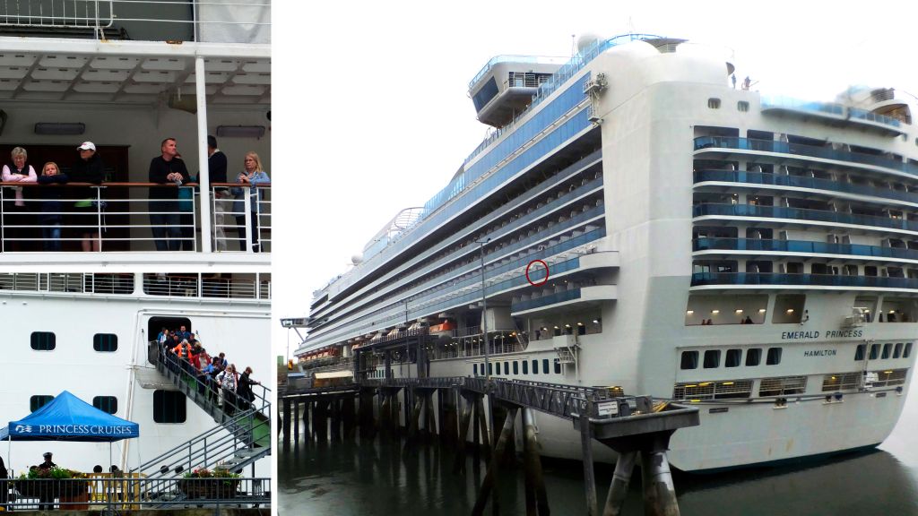 Cruise ship murder: