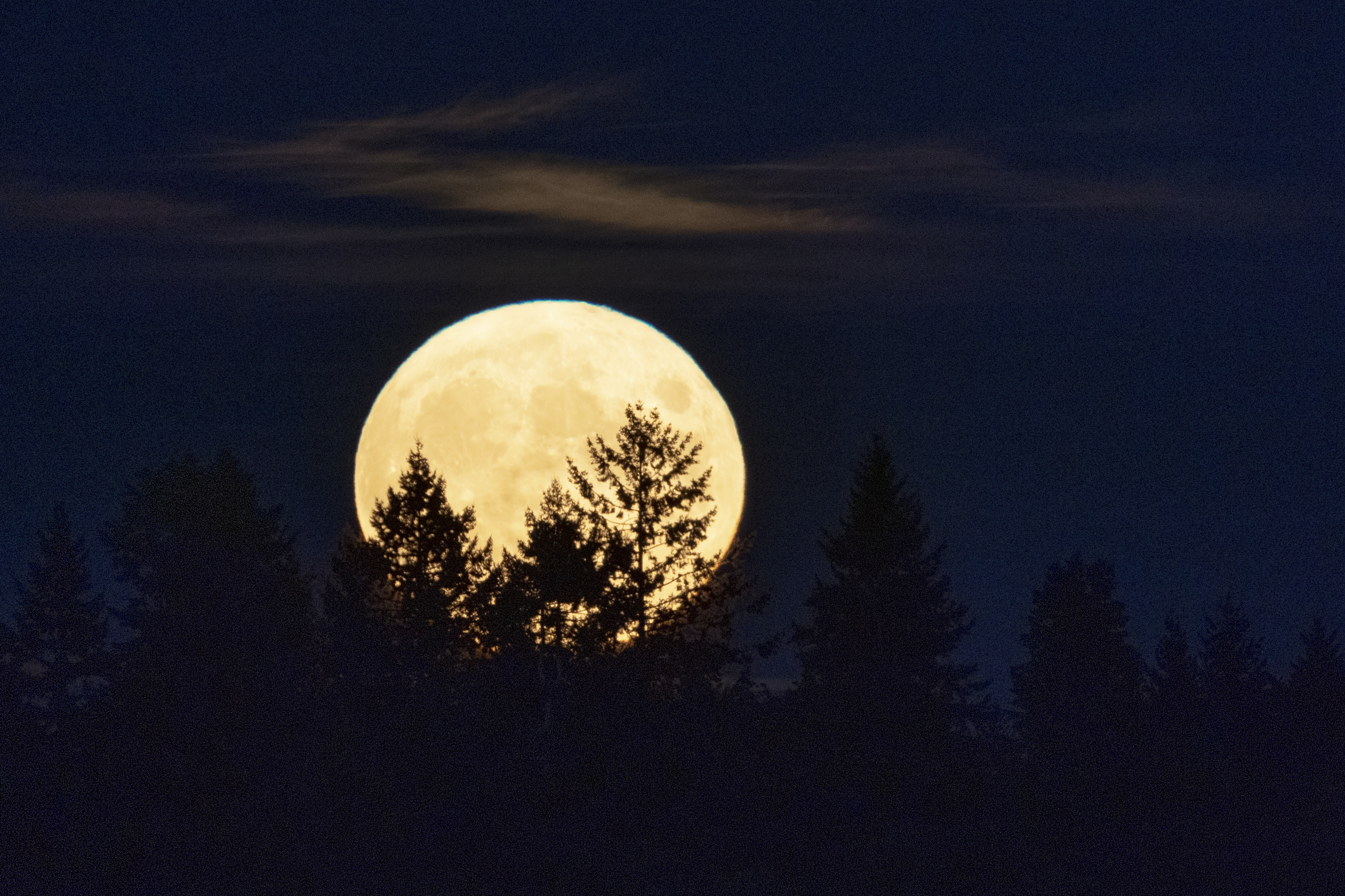Photos: September 2021 Harvest Moon brightens the night sky