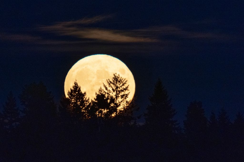 Photos: September 2021 Harvest Moon brightens the night sky