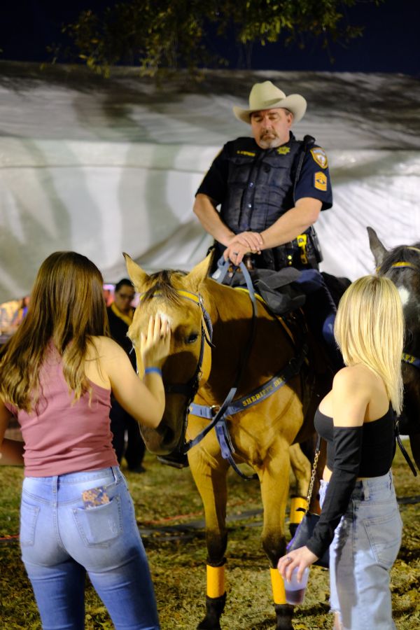 Rodeo Houston 2024