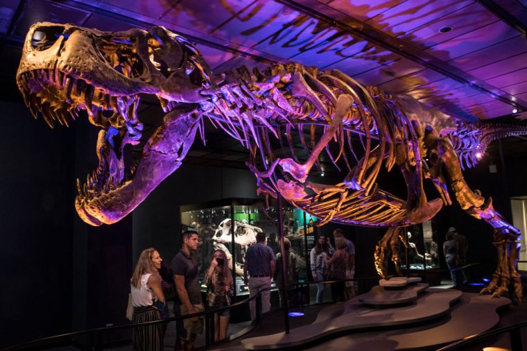 Houston Museum of Natural Science