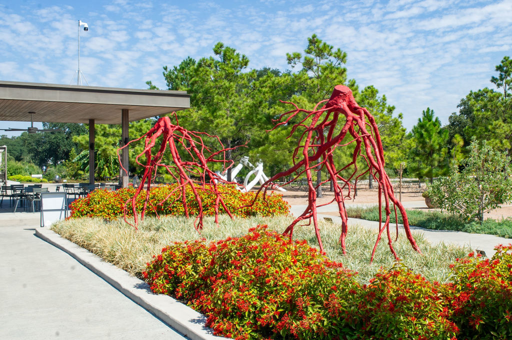Houston Botanical Garden