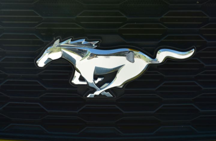Space City Mustangs NYE Cruise