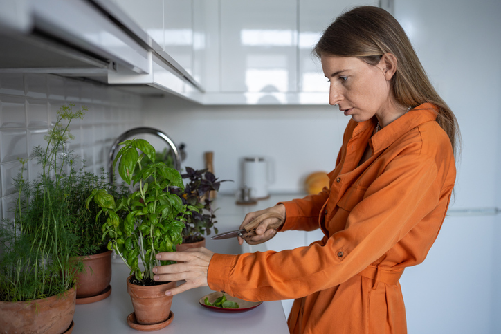 Pot Store-Bought Herbs
