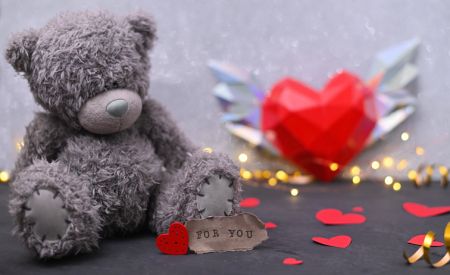 Stuffed Animals