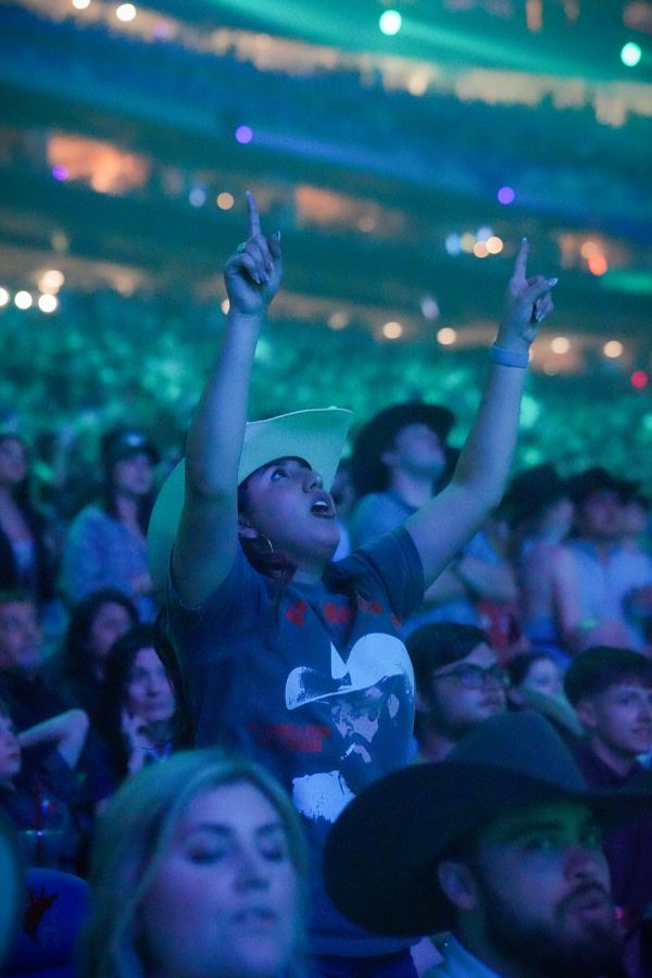 Fans in the Stands