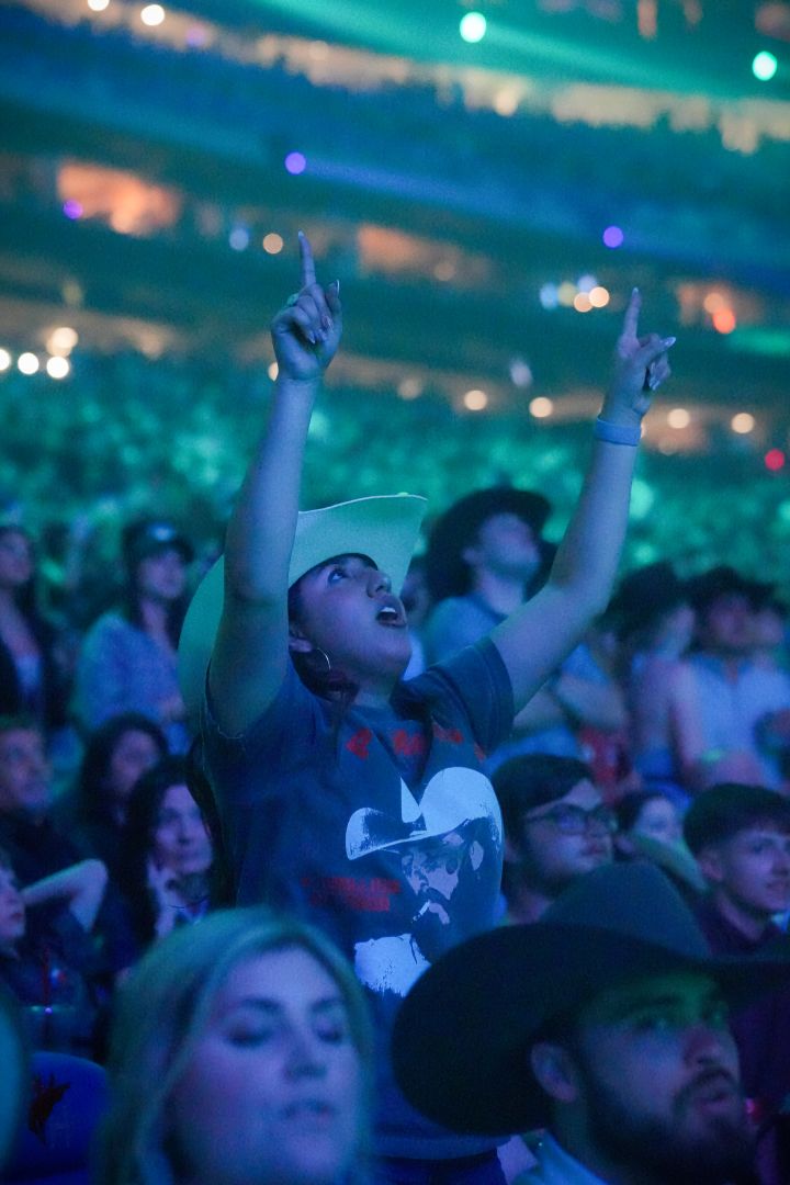 Fans in the Stands