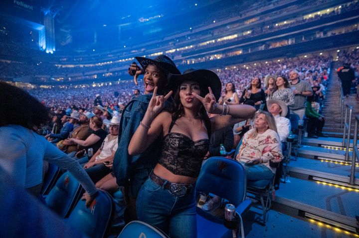 Fans in the Stands
