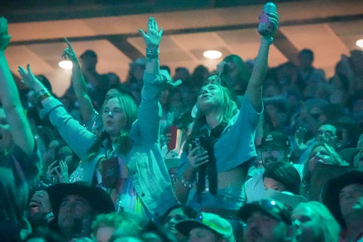 Fans in the Stands