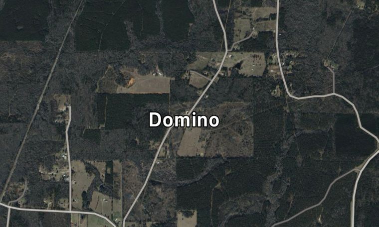 Domino, Texas - Pop. 79
