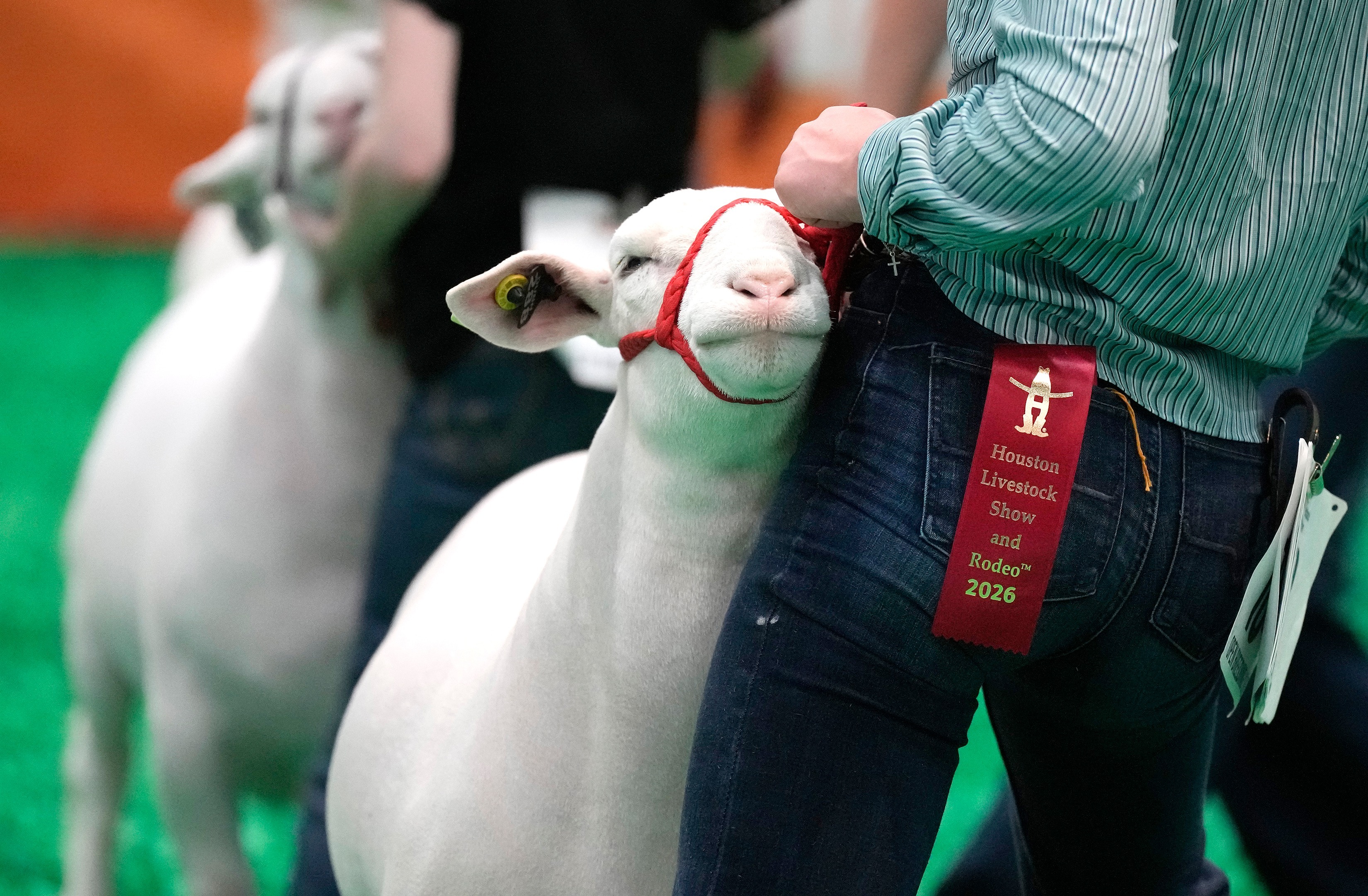 2026 Houston Livestock Show and Rodeo