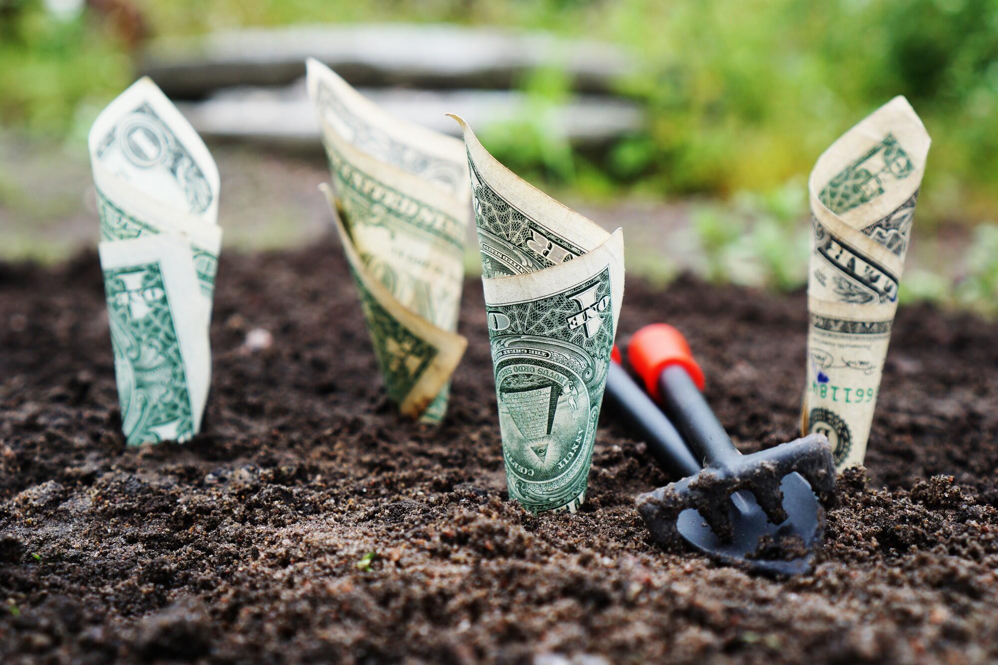 Financial mistakes that destroy small businesses in the first year