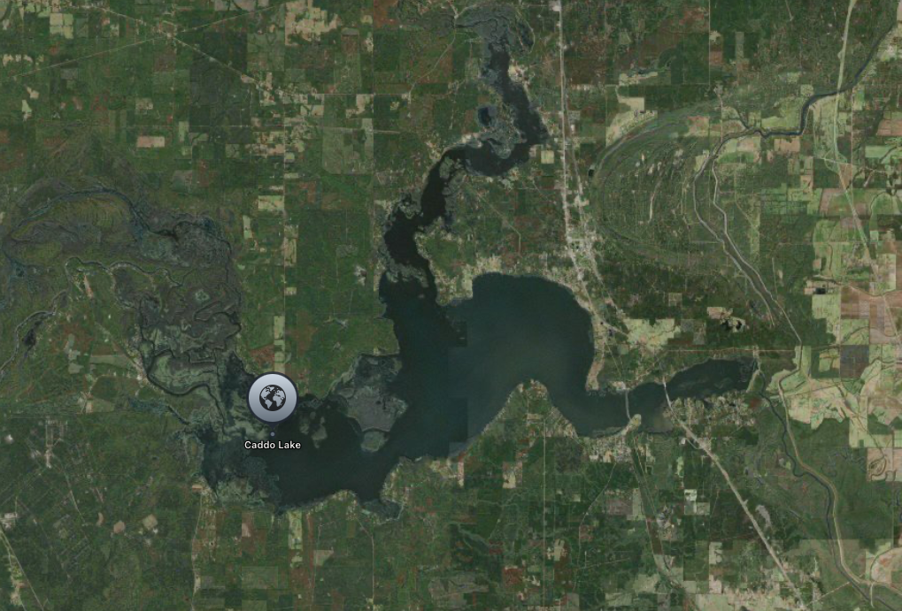Aerial view of Caddo Lake, a large body of water surrounded by forested areas.