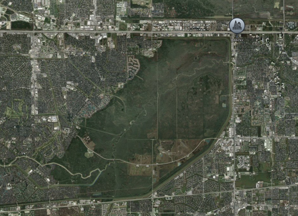 Aerial view of a large urban area with a prominent green space in the center.