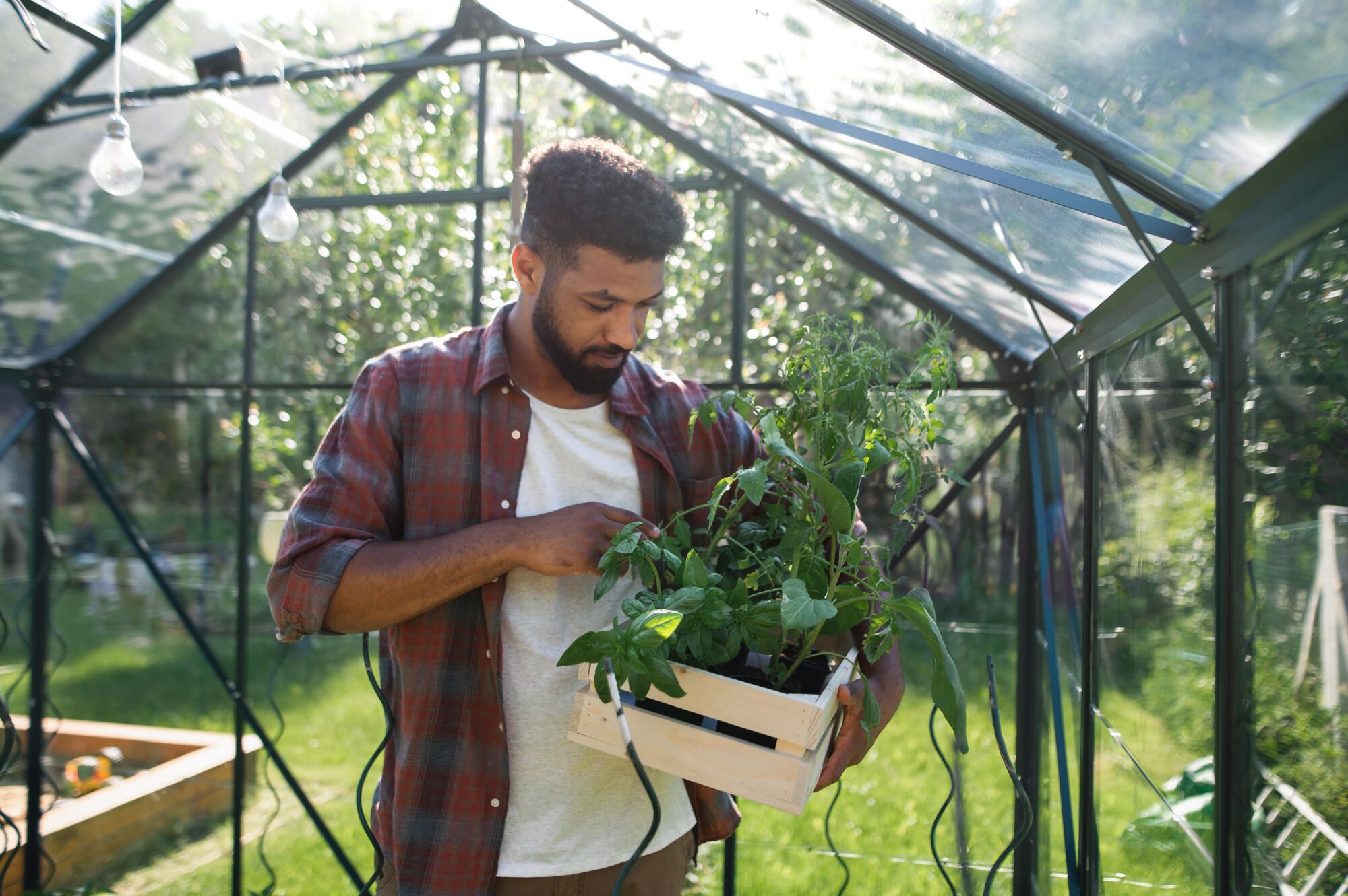Greenhouse design is adapting to more unpredictable growing conditions